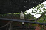 DSC_9229.JPG